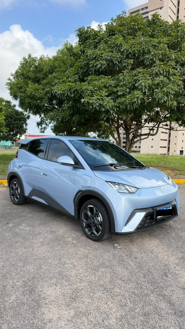 BYD Dolphin Mini GS 2027
