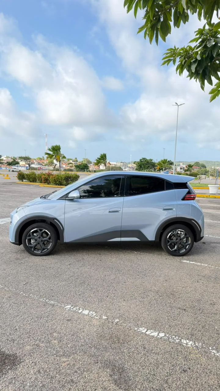 BYD Dolphin Mini GS 2027 — foto 3 de 7