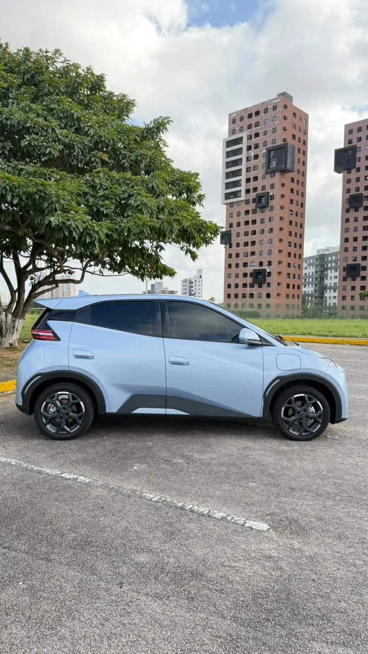 BYD Dolphin Mini GS 2027 — foto 7 de 7